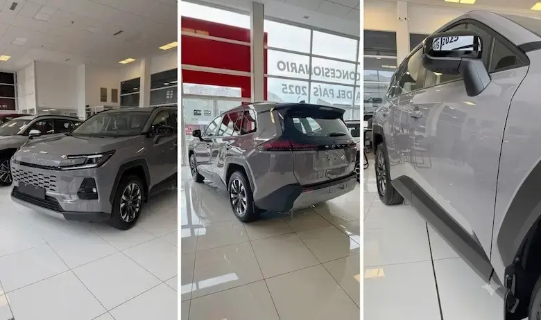 RAV4 TRIPTICO (1)